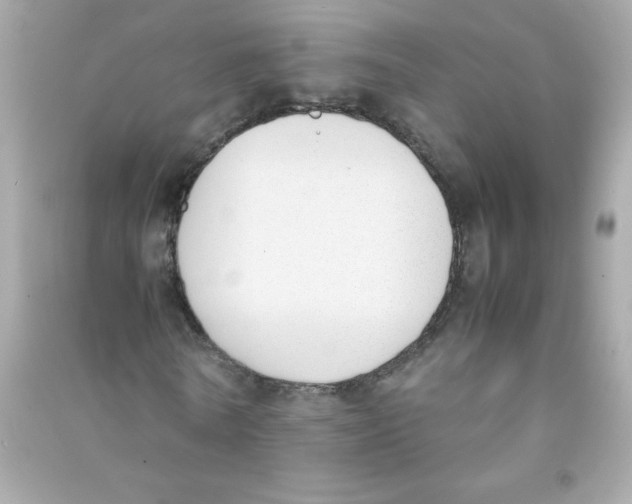 X0000090410770200708101919