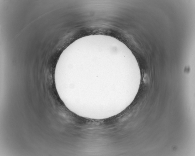 X0000090410771200708101919