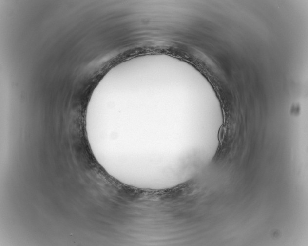 X0000090410773200708101918