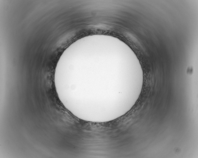 X0000090410774200708101918