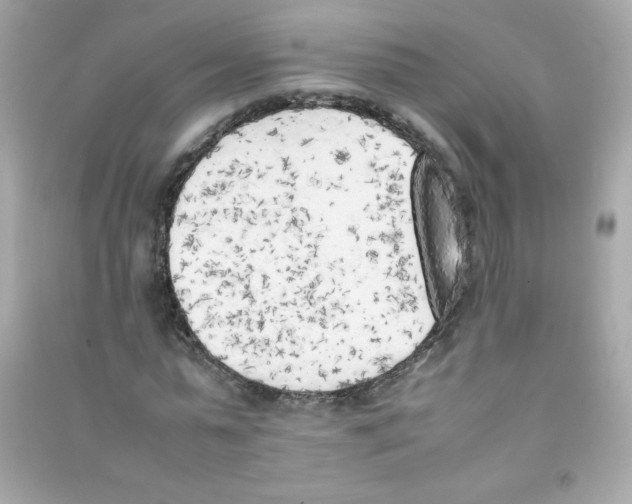 X0000090410775200708101918
