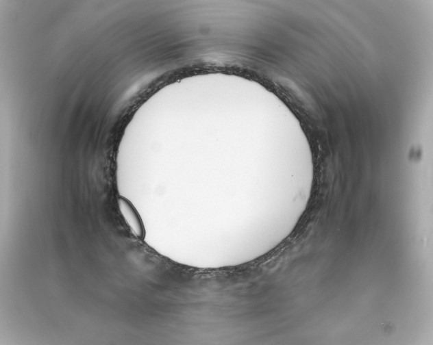 X0000090410776200708101918