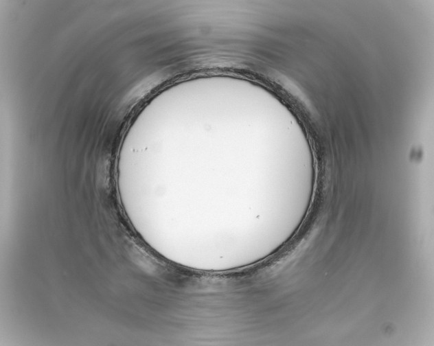 X0000090410777200708101918