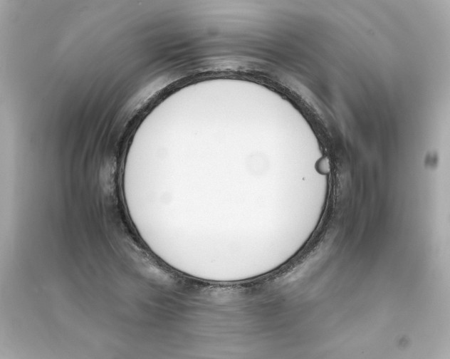 X0000090410778200708101918