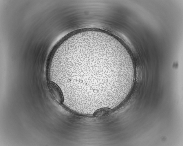X0000090410780200708101918