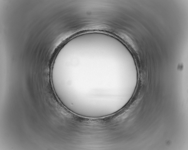 X0000090410781200708101918