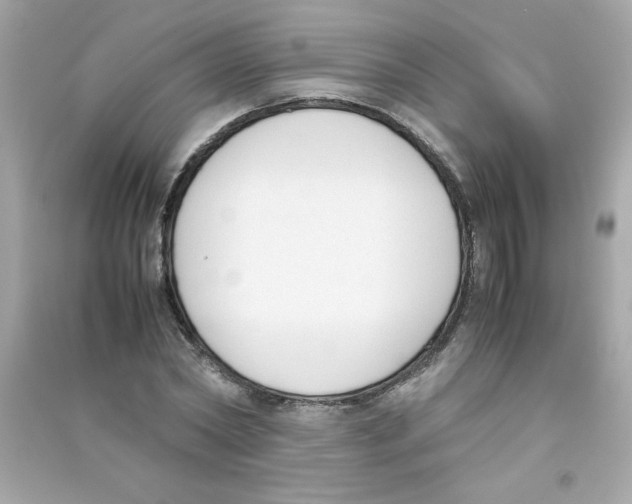 X0000090410782200708101918