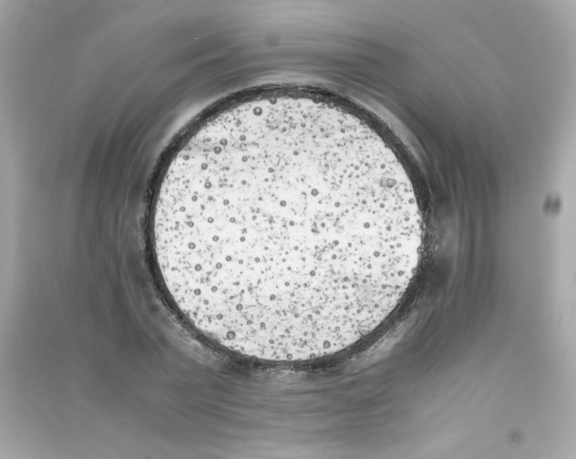 X0000090410783200708101918