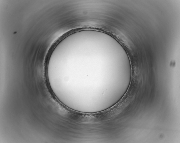 X0000090410784200708101918