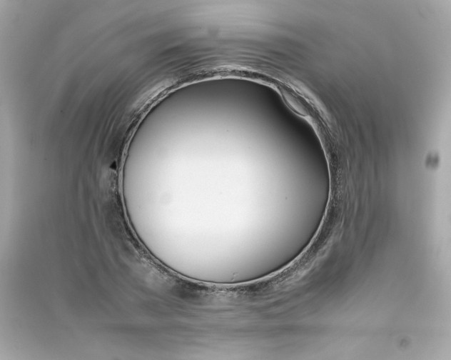 X0000090410785200708101918