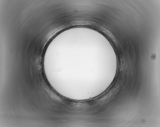 X0000090410786200708101918