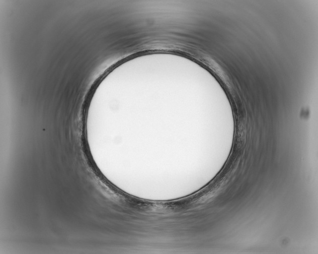 X0000090410787200708101918