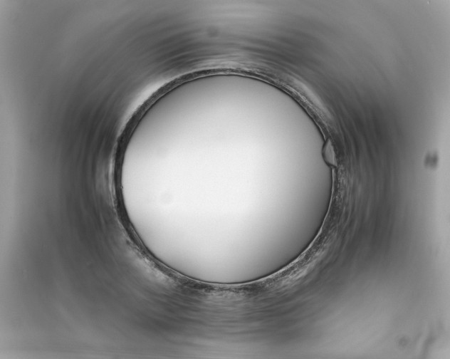 X0000090410788200708101918
