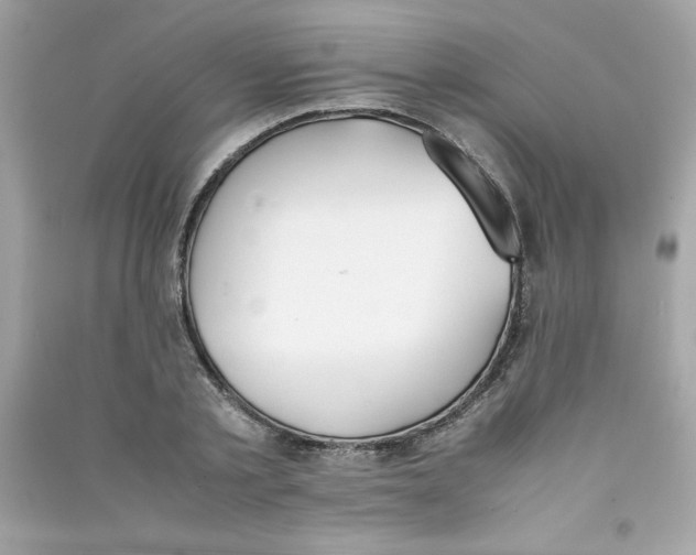 X0000090410789200708101918