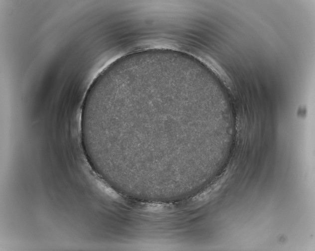 X0000090410790200708101918