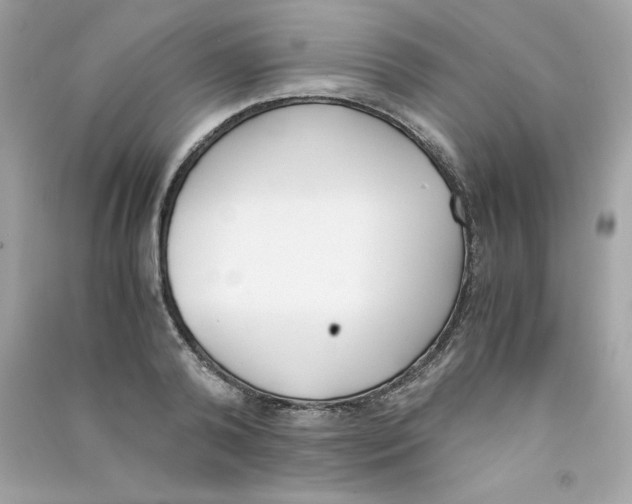 X0000090410792200708101918