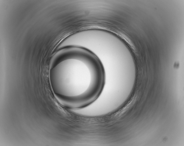 X0000090410793200708101918