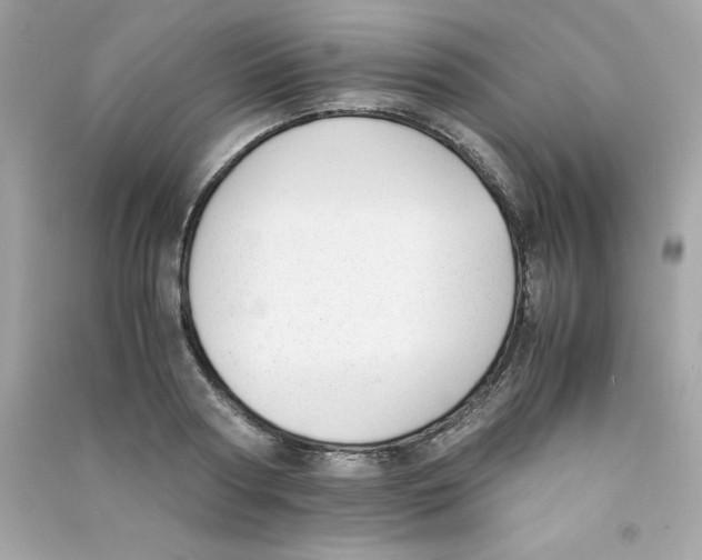 X0000090410794200708101918