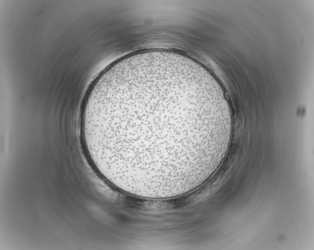 X0000090410795200708101918