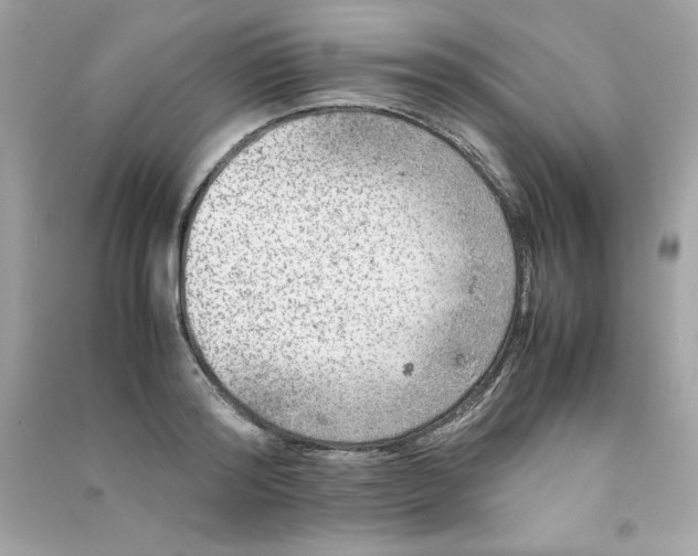 X0000090410796200708101918