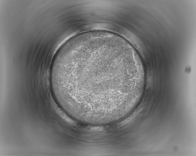 X0000090410798200708101918