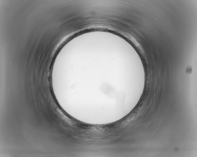 X0000090410799200708101918