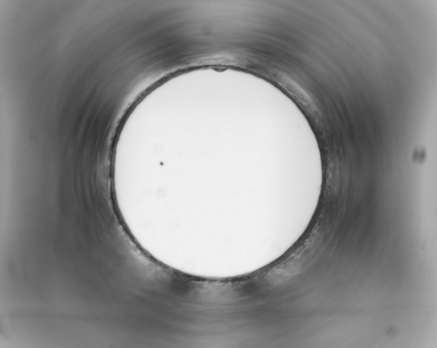 X0000090410800200708101918