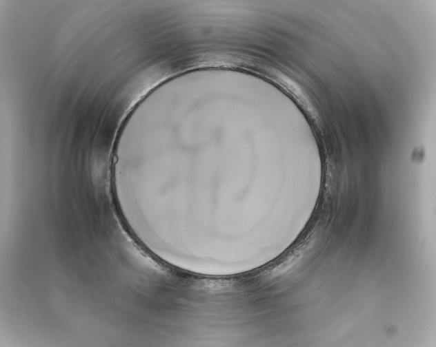 X0000090410802200708101918