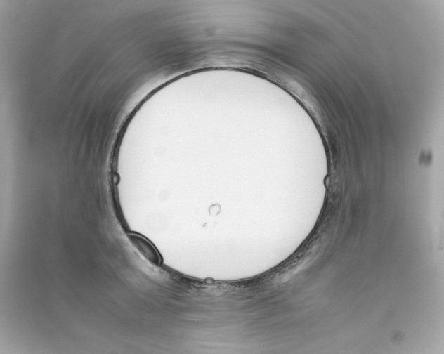 X0000090410803200708101918