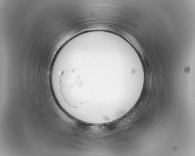 X0000090410805200708101918