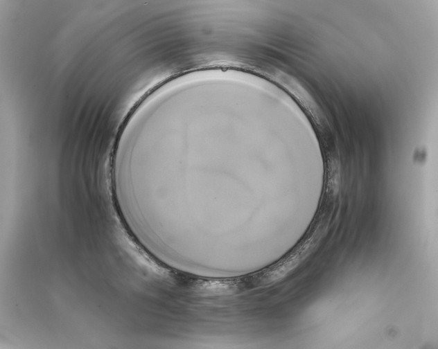 X0000090410806200708101918