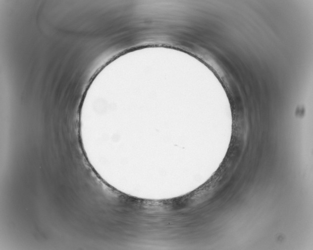 X0000090410807200708101918