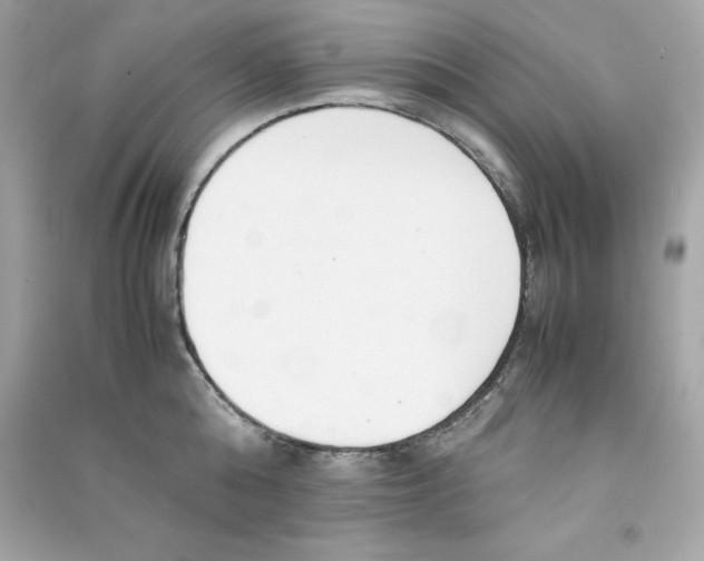 X0000090410808200708101918