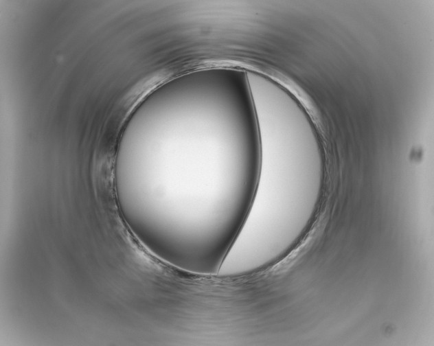 X0000090410809200708101918