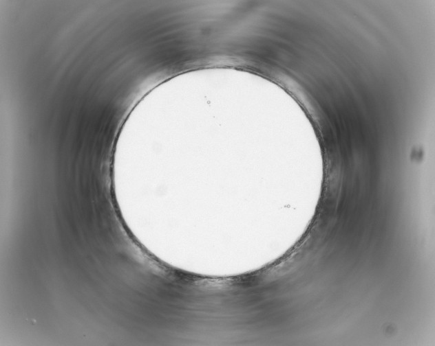 X0000090410810200708101918