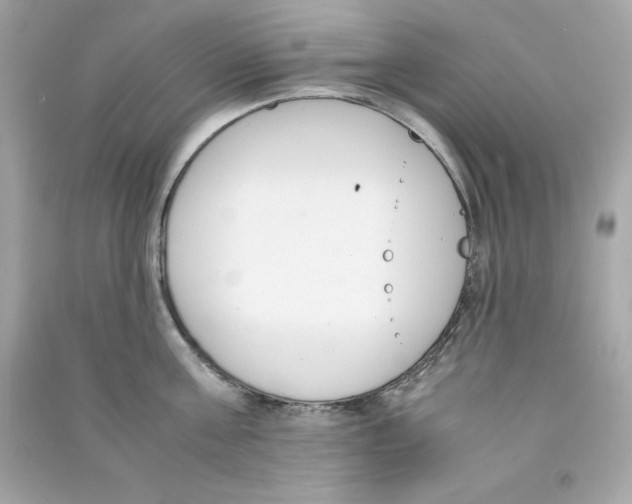 X0000090410811200708101918
