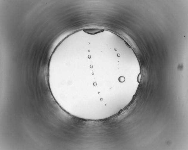X0000090410812200708101918