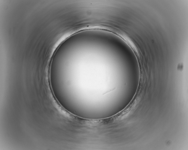 X0000090410813200708101918