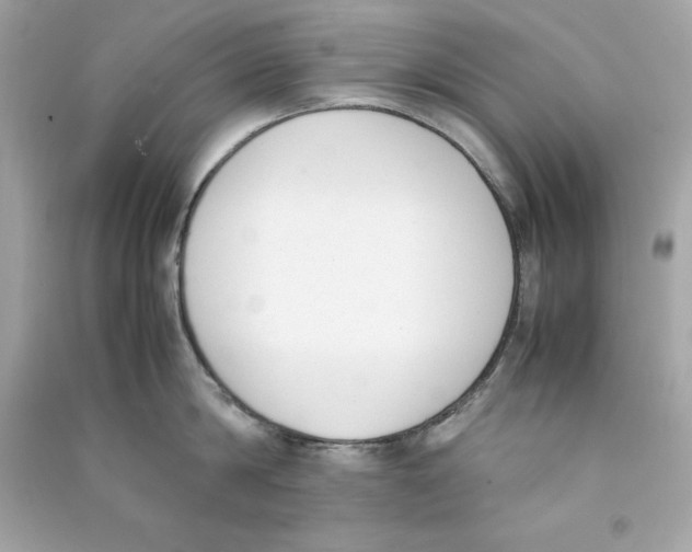 X0000090410814200708101918