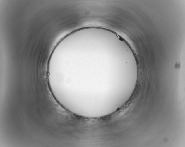 X0000090410815200708101918