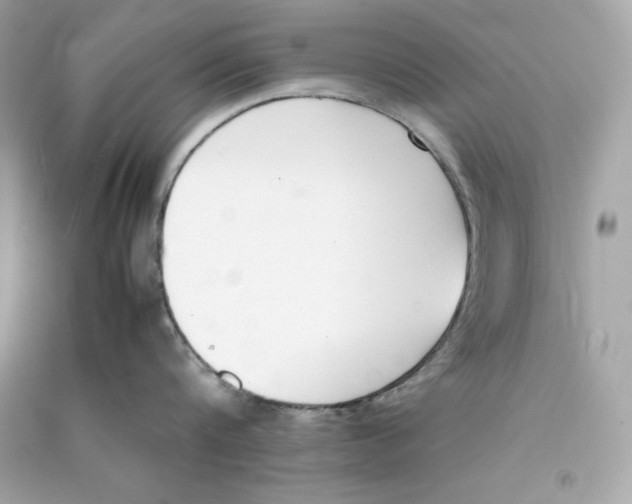 X0000090410816200708101918