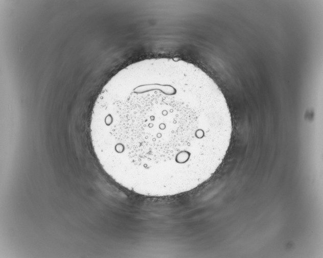 X0000090410817200708101917