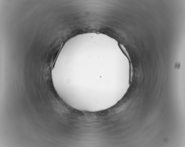 X0000090410818200708101917