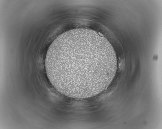X0000090410819200708101917
