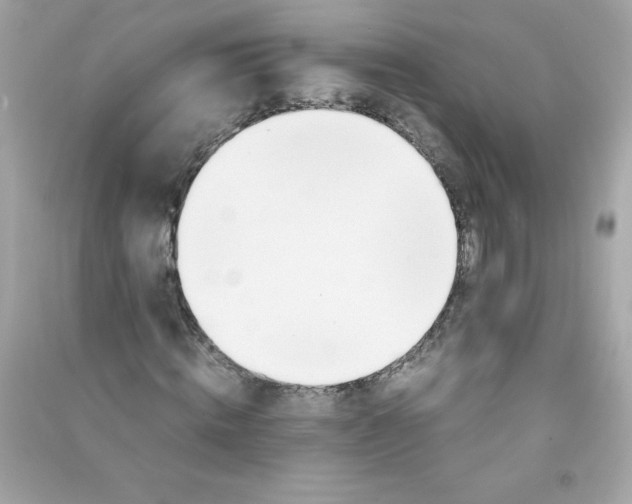 X0000090410820200708101917