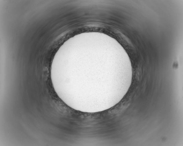 X0000090410821200708101917