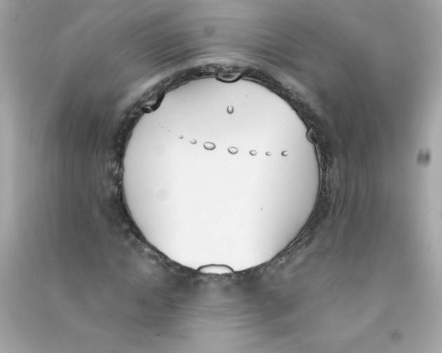 X0000090410822200708101917