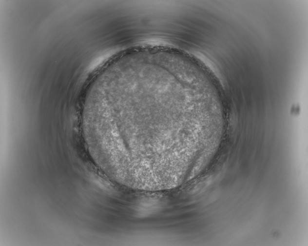 X0000090410823200708101917