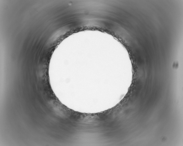 X0000090410824200708101917