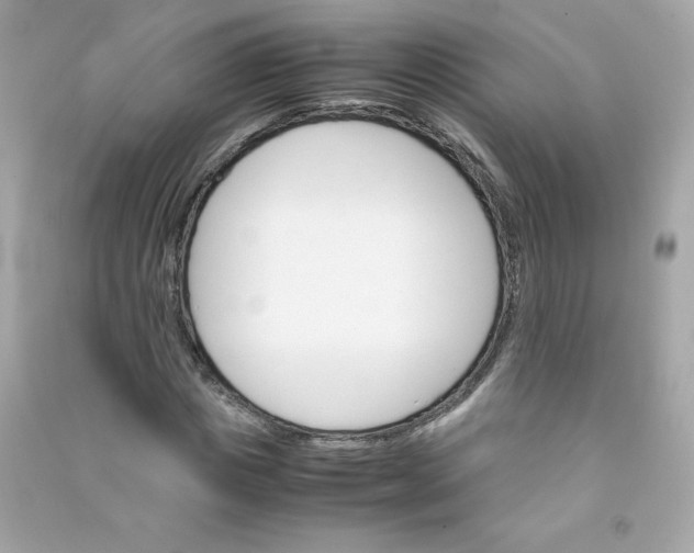 X0000090410825200708101917